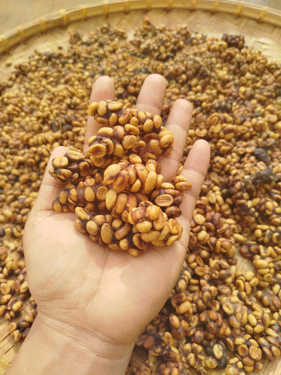 Cà phê Chồn 100g